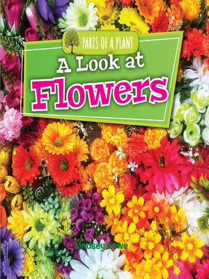 cover image of A Look at Flowers